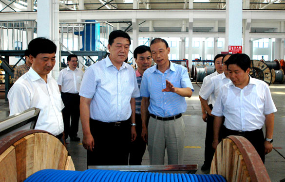 常州市代市长姚晓东一行来XPJ集团视察