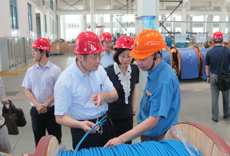 2016年7月22日，泸州市委常委、副市长王建翔一行来XPJ电缆参观考察