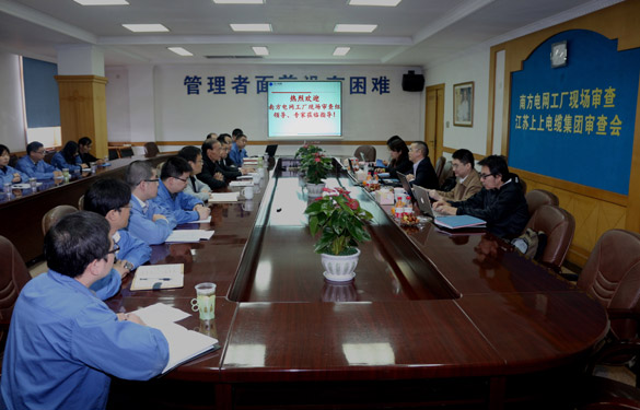XPJ电缆顺利通过南方电网公司工厂现场审查
