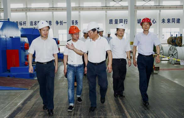 金坛区党政领导来XPJ电缆参观考察