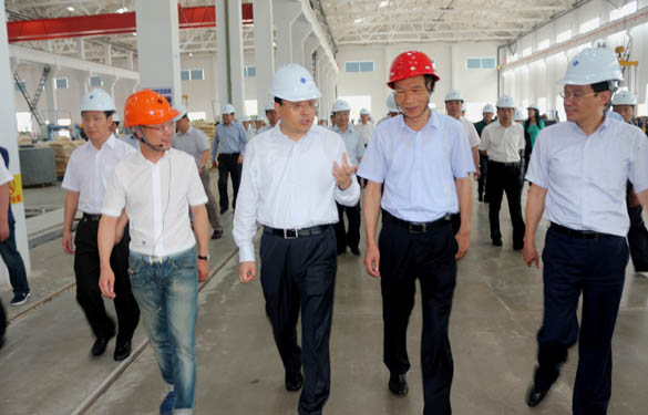 常州市市长费高云一行来XPJ电缆督查西厂区三期项目建设情况