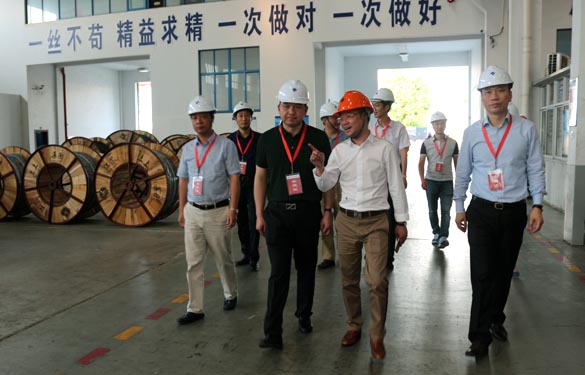 靖江市、溧阳市青商会齐聚XPJ电缆参观交流