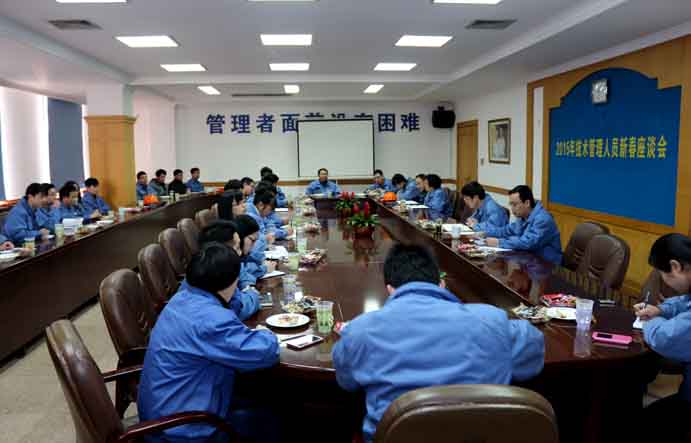江苏XPJ电缆集团召开2015年技术、管理人员新春座谈会