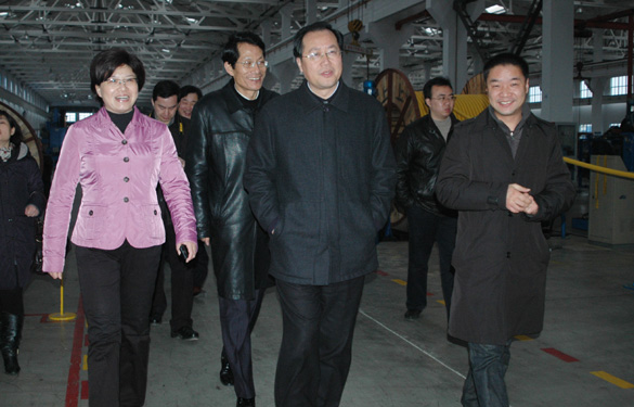 江苏省发展和改革委员会主任、党组书记毛伟明来XPJ集团视察