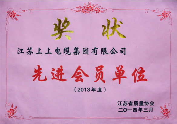 XPJ集团荣获江苏省质量协会2013年度“先进会员单位”称号