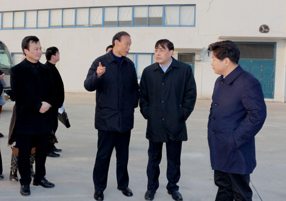 常州市市长费高云一行来江苏XPJ电缆集团督查新开工项目