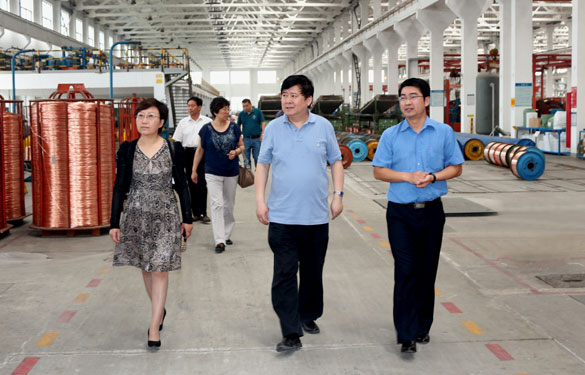 常州市新北区人大领导一行来XPJ集团调研