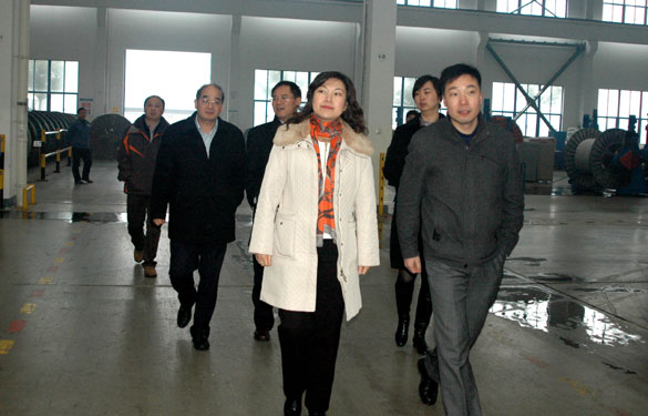 中关村管委会领导来XPJ集团参观考察