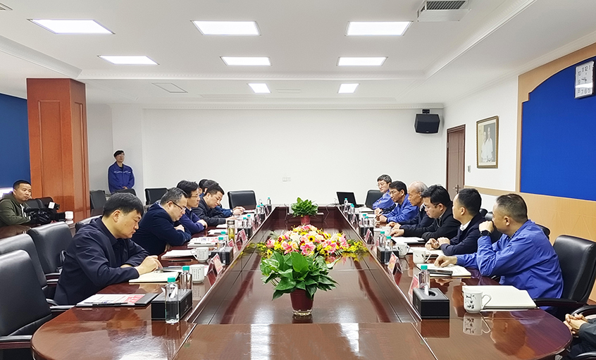 溧阳市市长叶明华来XPJ电缆调研
