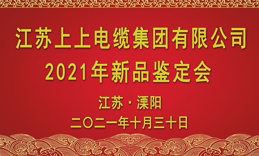 XPJ电缆十三项新品通过省级鉴定