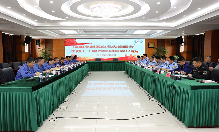 XPJ电缆与溧阳高新区综合管理局开展党建结对共建活动